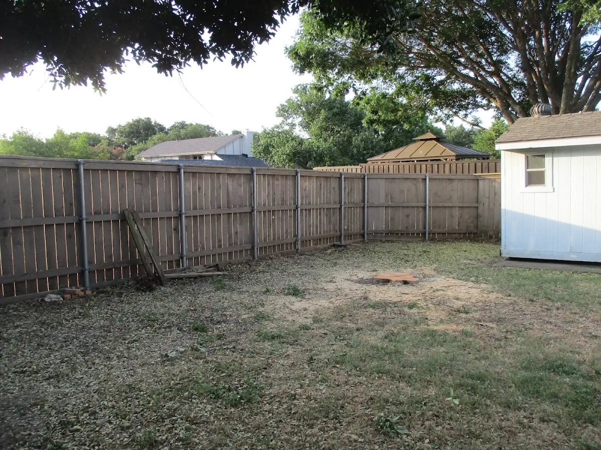 Cleared yard after professional tree removal in Meadow Bridge